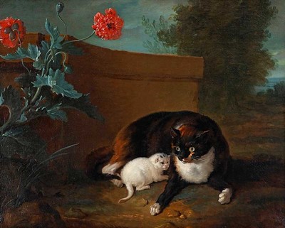 chatte-et-chaton-et-chien-et-perroquet-1737