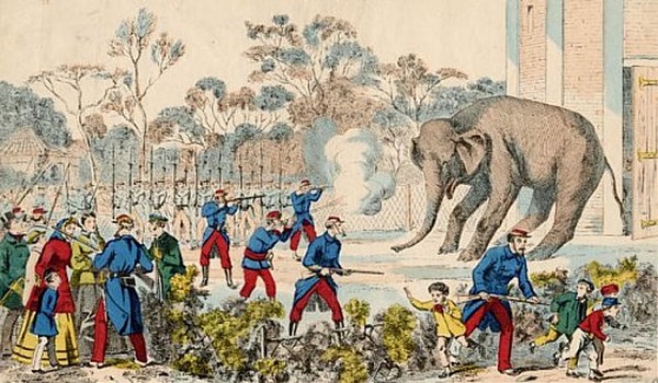 Elephant-Siege-Paris